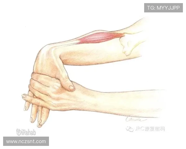 上海网球队中路突破的秘密与策略深度解析